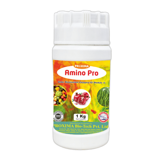 Amino Pro