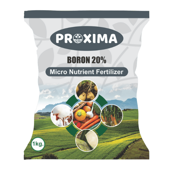 Boron 20%