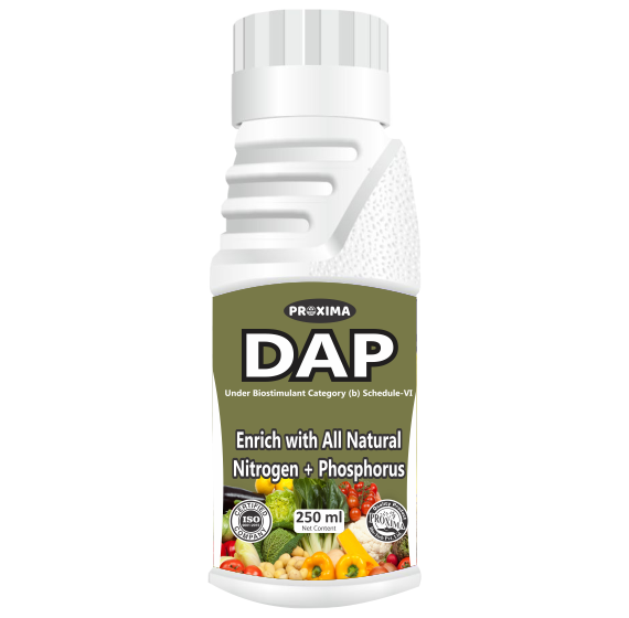 DAP