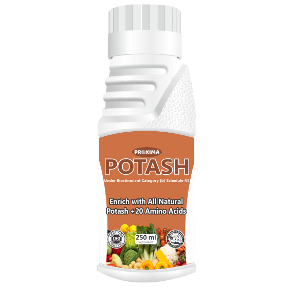 Potash