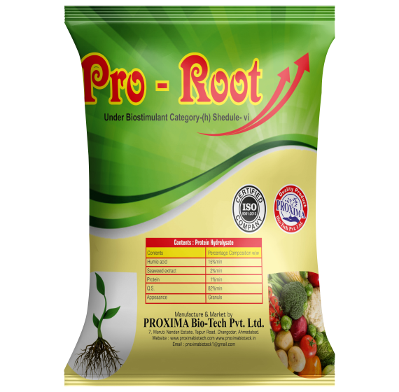 Pro Root