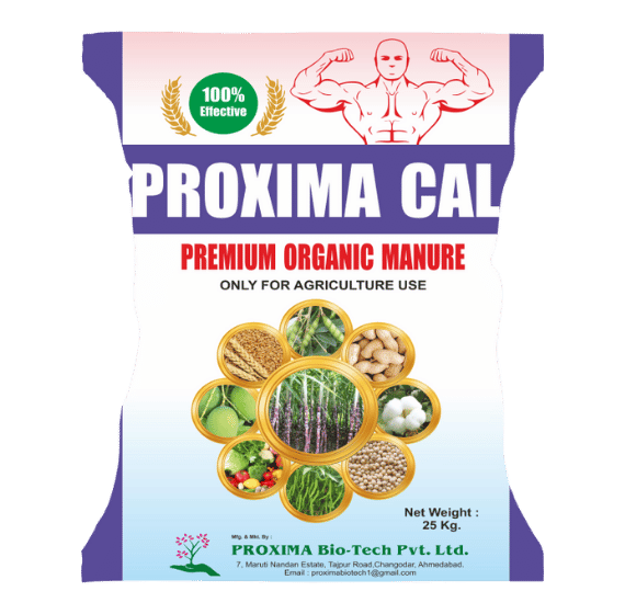 Proxima Cal