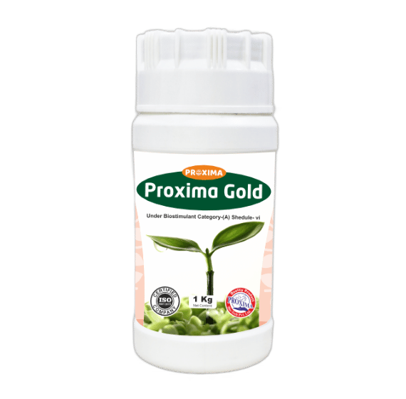 Proxima Gold