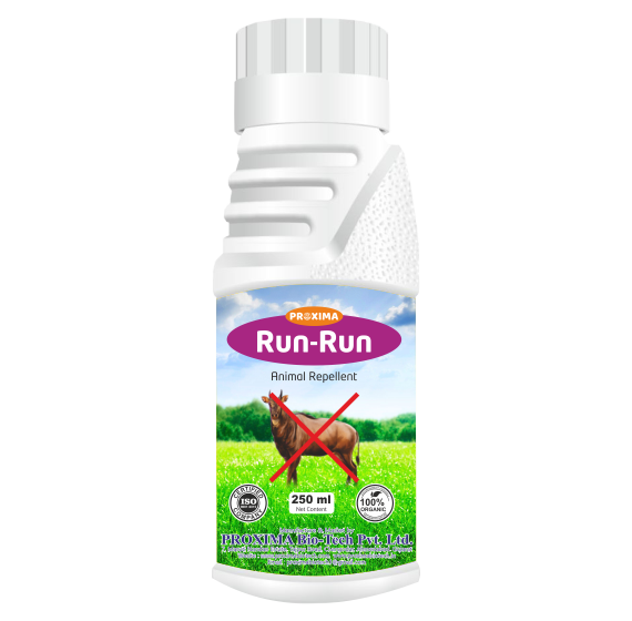 Run-Run